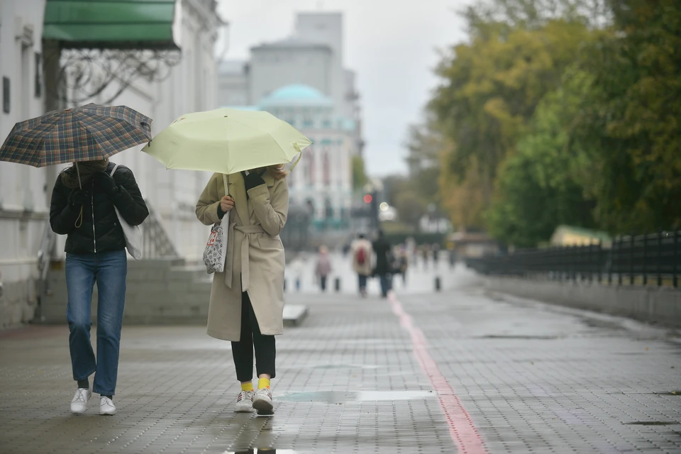 В Новосибирске сегодня сыро и холодно.