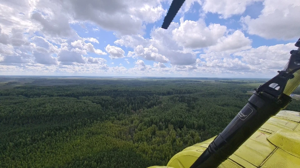 С 18 августа планируют снять режим ЧС в лесах Югры