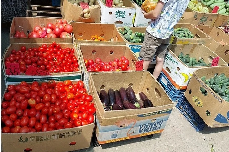 Овощи из Херсонской и Запорожской областей в Крым везут с начала лета