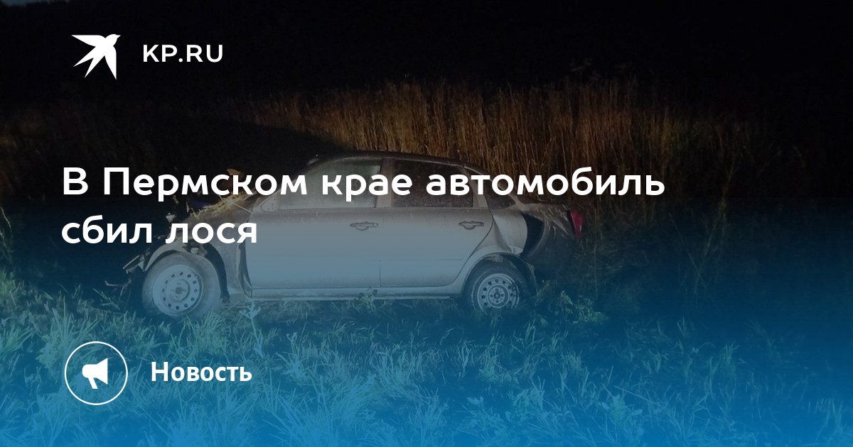 Автомобиль сбил лося