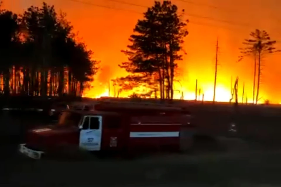 Лесной пожар в Каменском районе охватил уже 50 га. Фото: ГУ МЧС по РО.