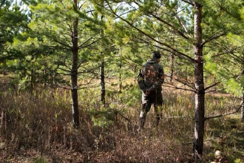 Сотрудники МЧС спасли заблудившегося в лесу грибника в Магаданской области