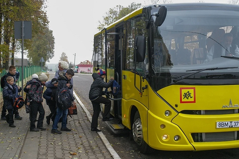 В Беларуси утвердили порядок бесплатной перевозки школьников. Фото: sb.by