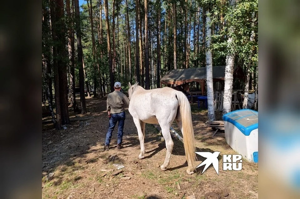 Фото: предоставил Кирилл Потапов