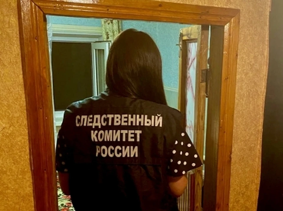 Фото: СУ СК по Саратовской области