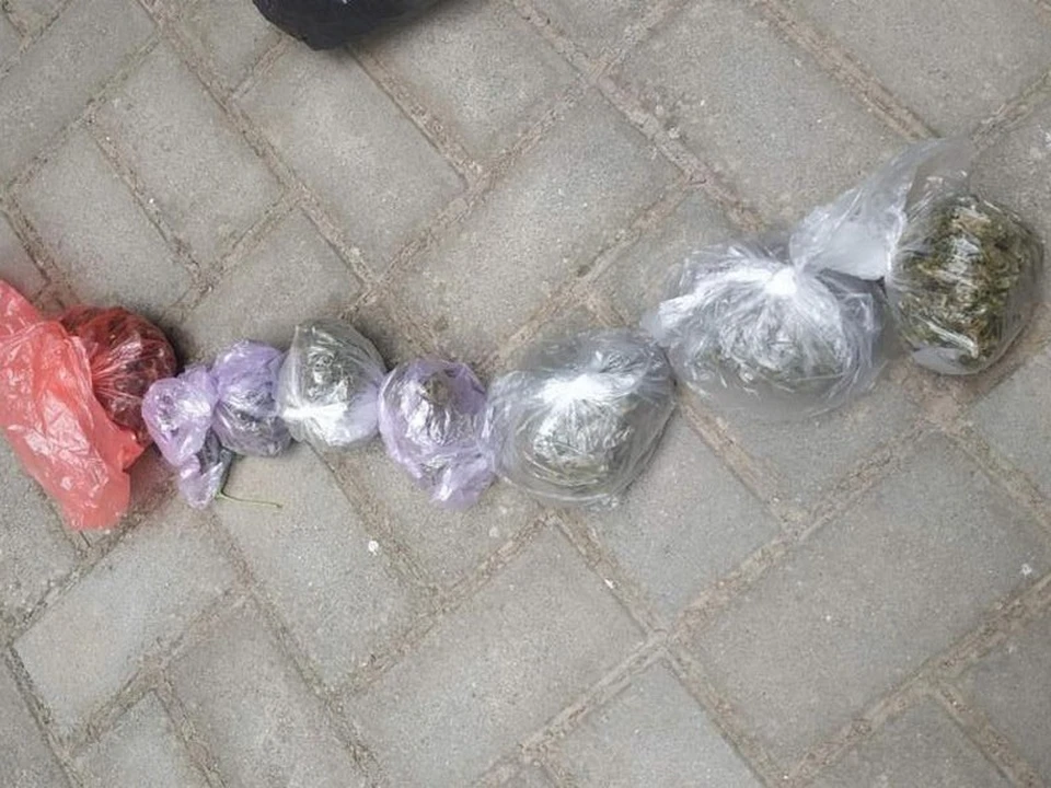 Фото: пресс-служба МВД по РК