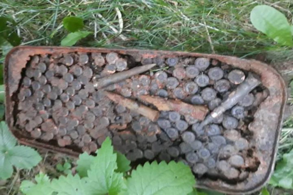 Школьники нашли коробку с 400 патронами в Нижнем Новгороде