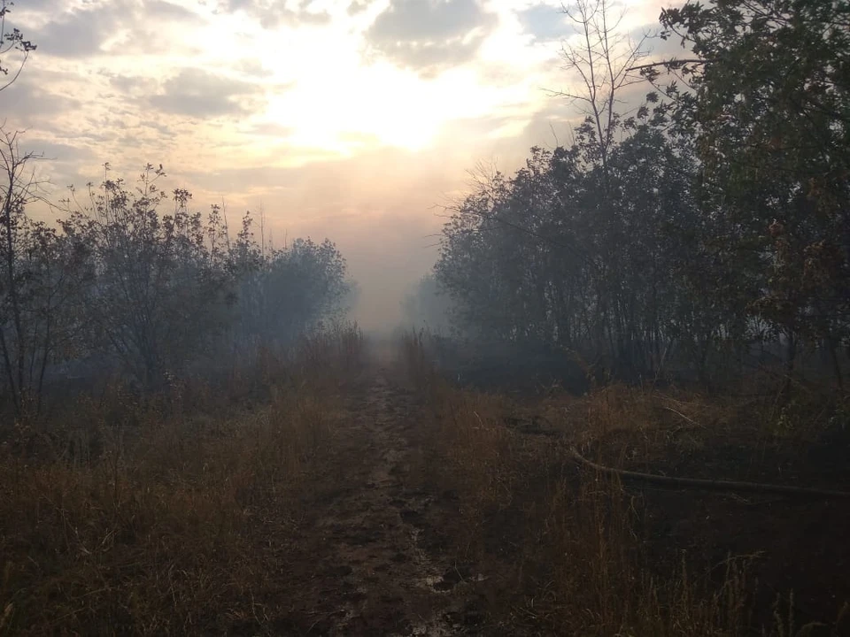 Пожарные ведут борьбу с огнем уже несколько часов