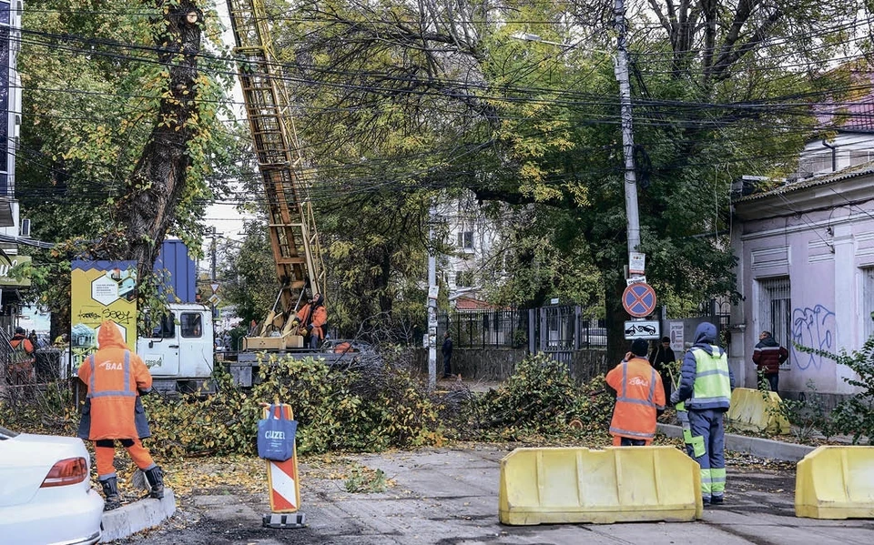 Фото: Крымская газета