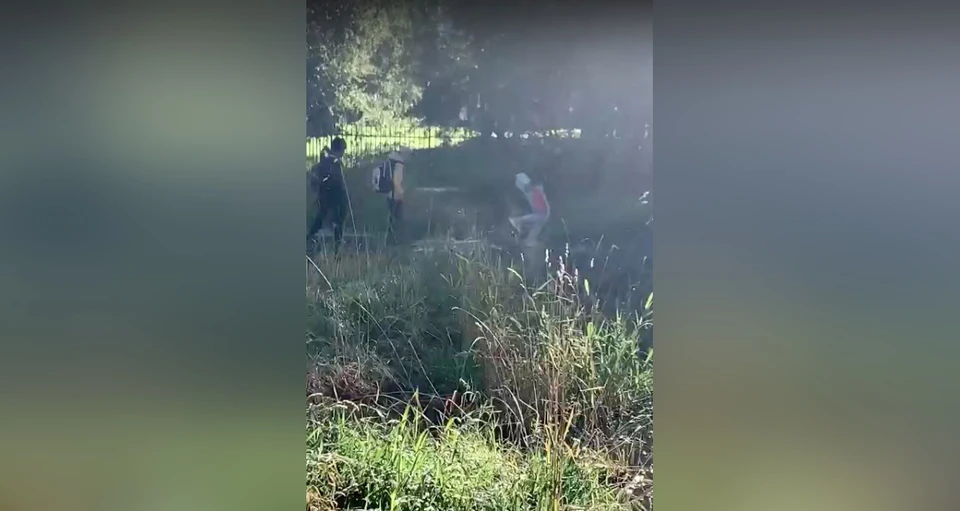 Скриншот видео