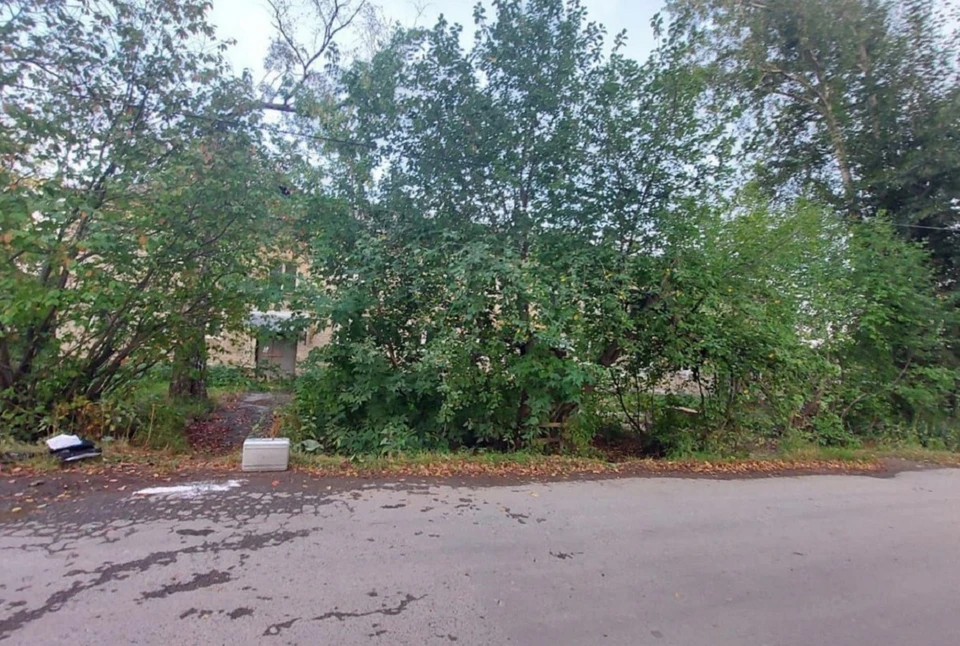 Парень напал на ученицу 10 класса днем 2 сентября. Фото: СУ СКР по Свердловской области