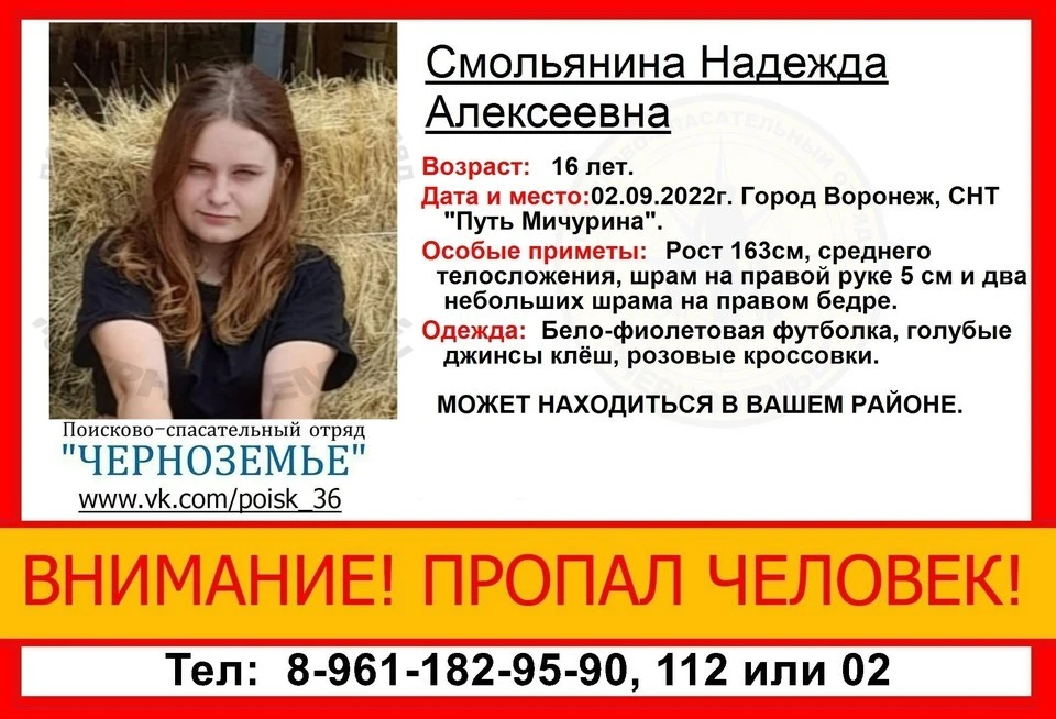 Ориентировка волонтеров