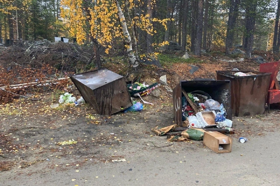 Следы хищника сфотографировал очевидец. Фото: Влад Грошев