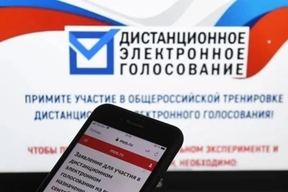 Электронным выборам не помешали даже 5 тысяч хакерских атак