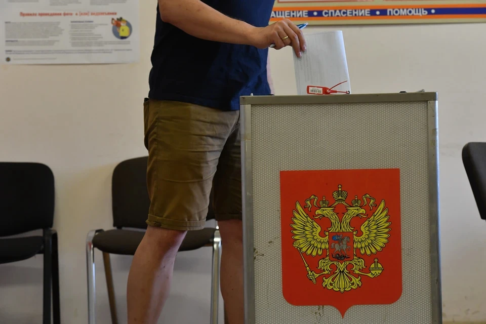 В Новосибирской области начались довыборы двух депутатов