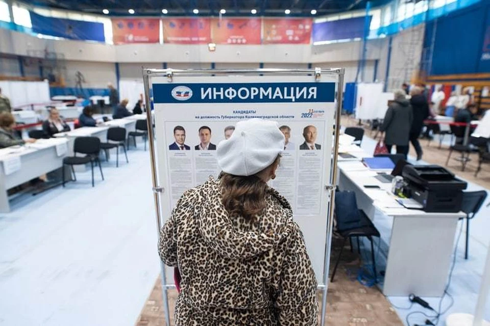 В Калининградской области обработано 100 % протоколов участковых избирательных комиссий.