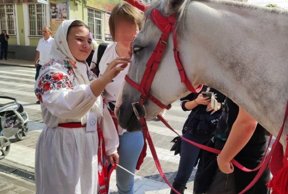 Судя по цвету украшений, на кадре - белогривая кобылка