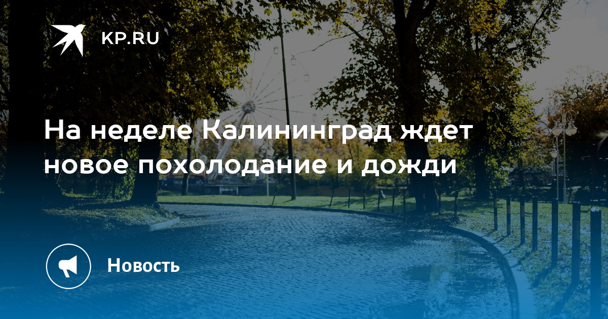 Прогноз погоды калининград на неделю 14 дней. Прогноз погоды калининград на неделю 14 дней. Погода на сегодня. Прогноз погоды калининград на неделю 14 дней. Какая сегодня погода.