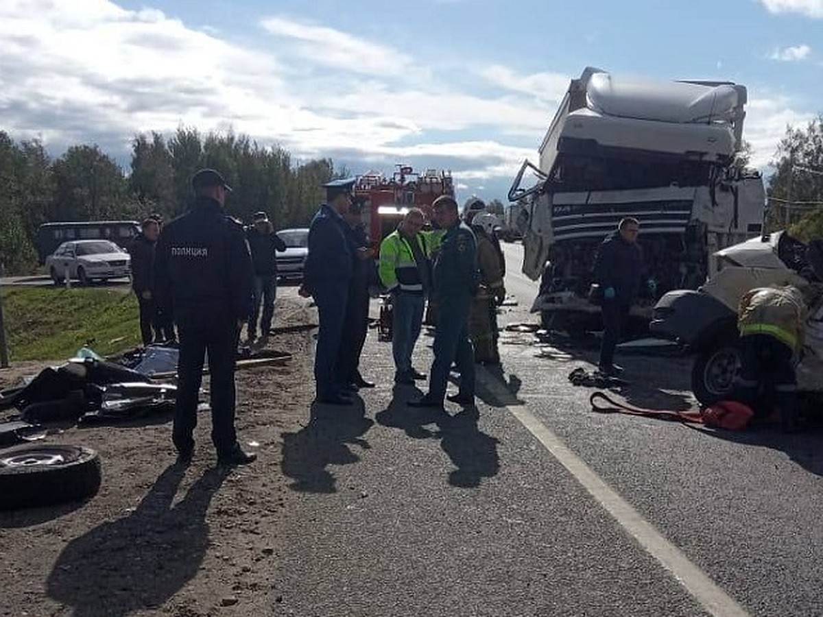 Не вписался в поворот: видео момента ДТП, в котором погиб актер Сергей  Пускепалис - KP.RU