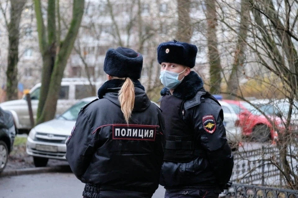 Мужчина расстрелял собак из охотничьего ружья