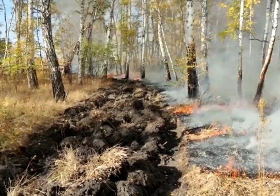 Пожара удалось ликвидировать спустя 4 часа. Фото: Главное управление лесного хозяйства Омской области.
