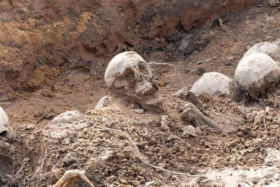Найденный череп может принадлежать скифам первого века нашей эры.