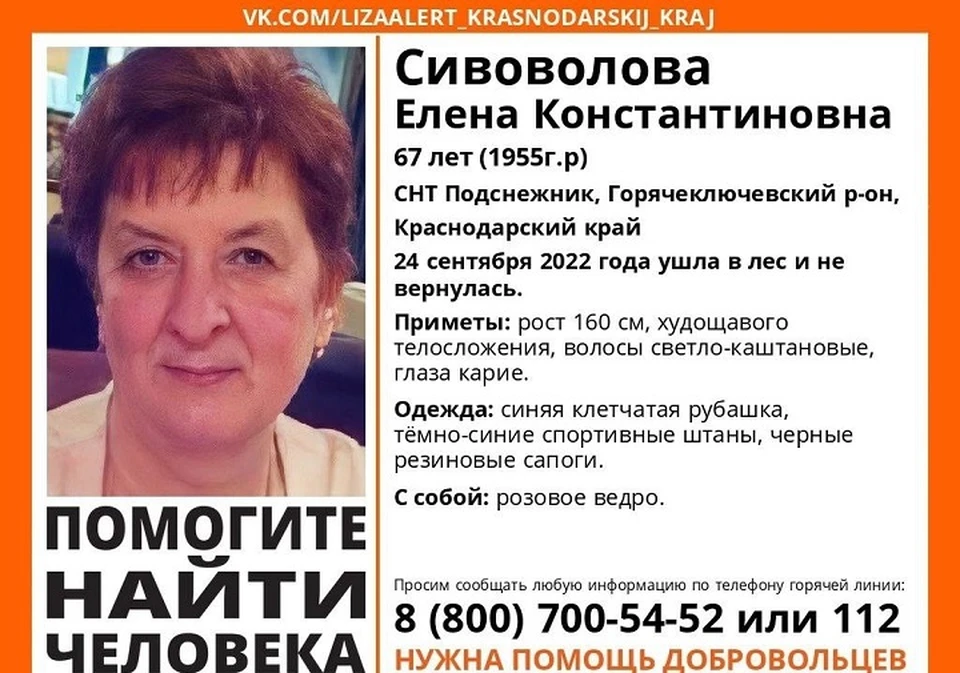 Фото: Лиза Алерт