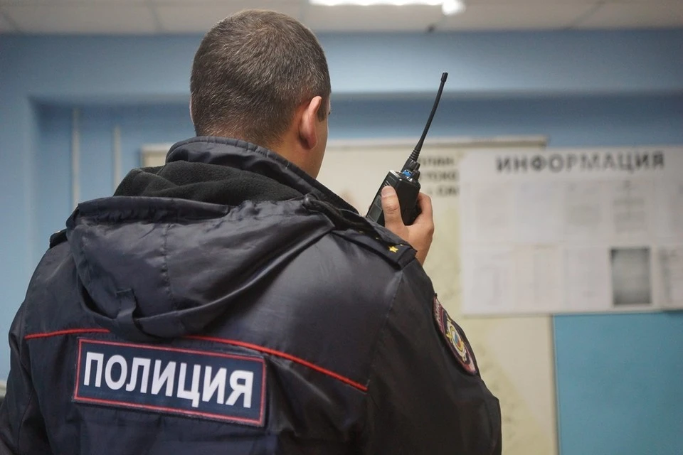 Полиция задержала хулиганов