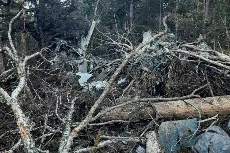 Авиакатастрофа Ан-26 под Хабаровском: причину падения самолета установят спустя год после трагедии