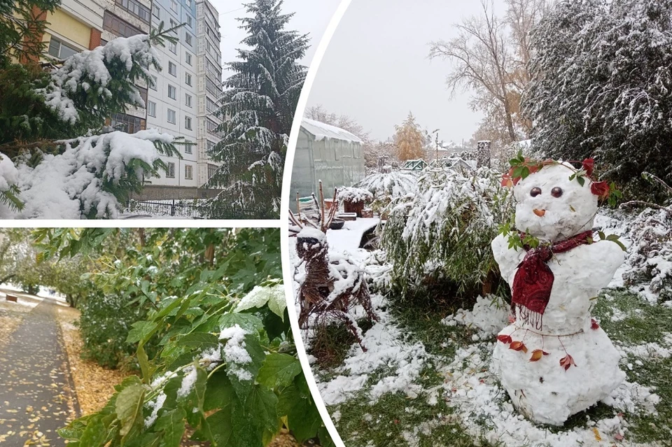 В Новосибирске выпал первый снег. Фото: Виктория МИНАЕВА / Мария РОЖКОВА.