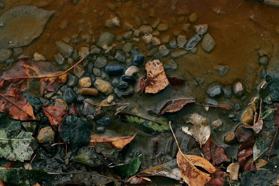 Фото: pexels.com