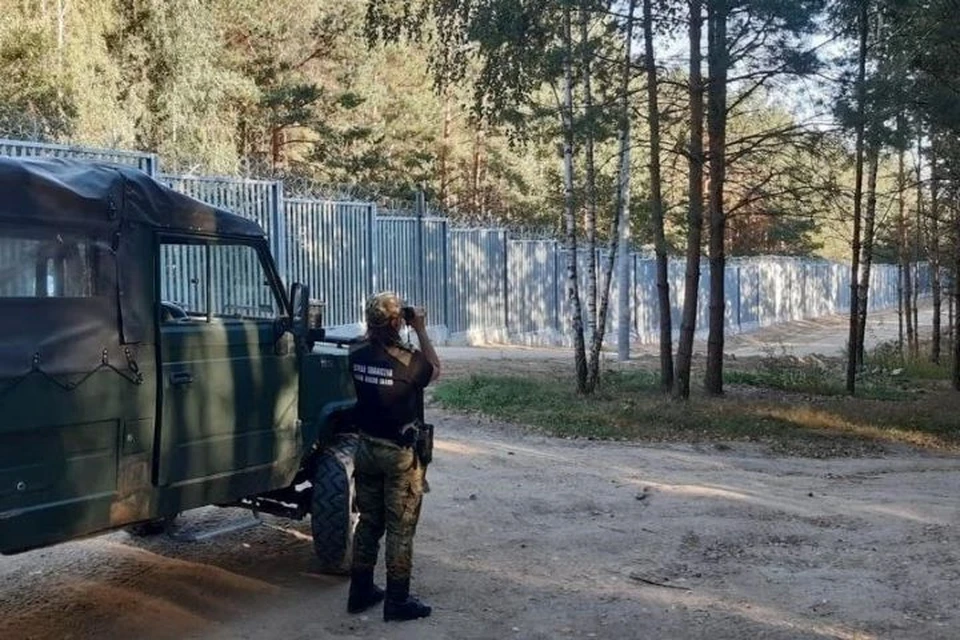 Польша отгородилась от Беларуси забором высотой 5,5 метра. Фото: twitter.com/StZaryn