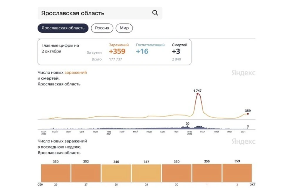 Скриншот Яндекс.Статистика