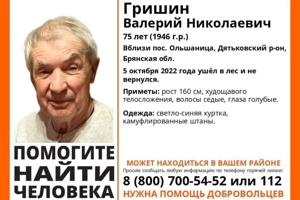 Фото: поисковый отряд "Лиза Алерт", vk.com.