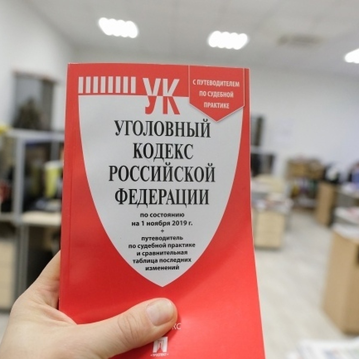 В Крыму водителя грузовика лишили прав на вождение из-за сбитой насмерть  собаки - KP.RU