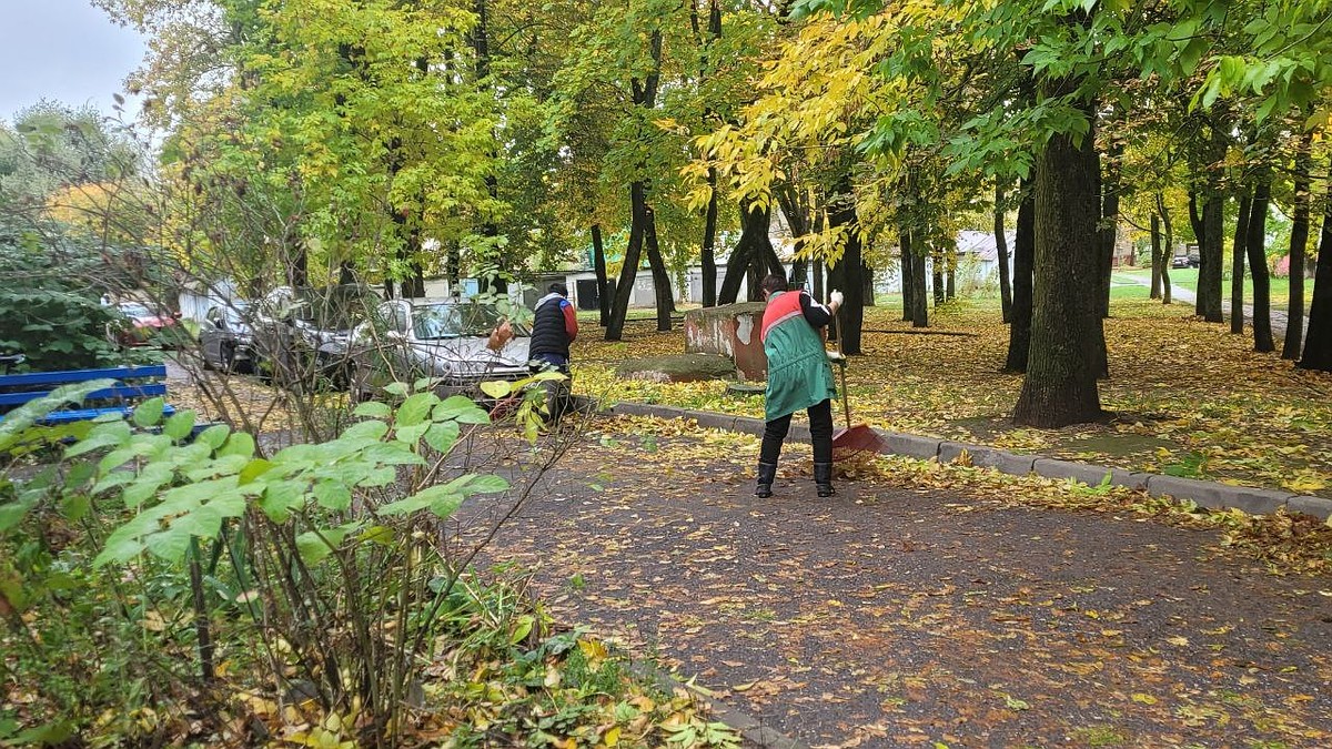 Высокая зарплата в Беларуси: работа в Беларуси, вакансии - последние  новости на 11 октября 2022 - KP.RU