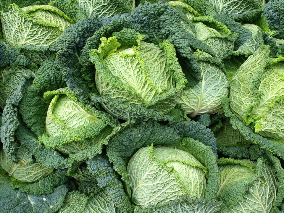 Самый затратный продукт этой осени