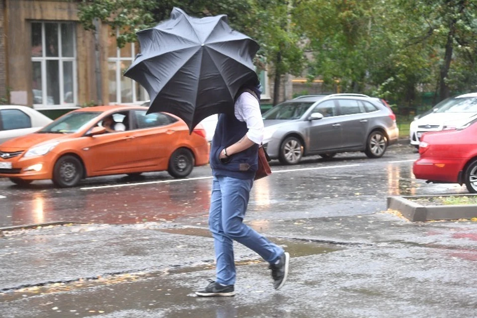 В Ярославской области ожидаются порывы сильного ветра