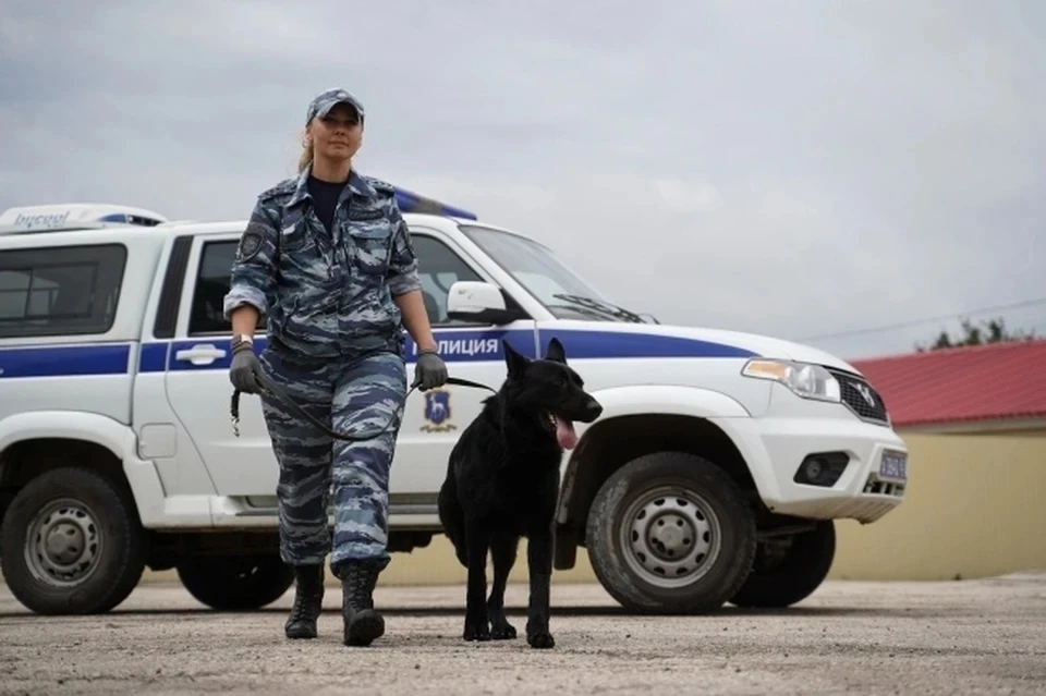 После каждого тревожного сообщения на место отправляются правоохранители