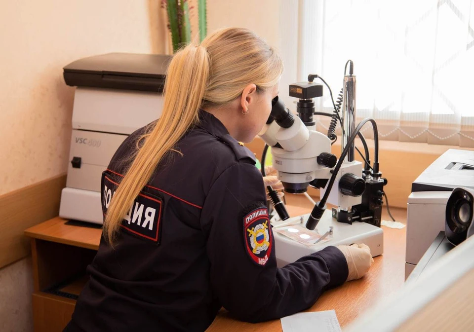 Деньги проверили на подлинность. Фото: УМВД России по г. Севастополю