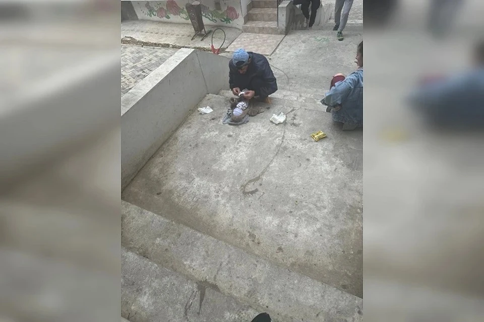 Фото: «АГПЯлта» в telegram