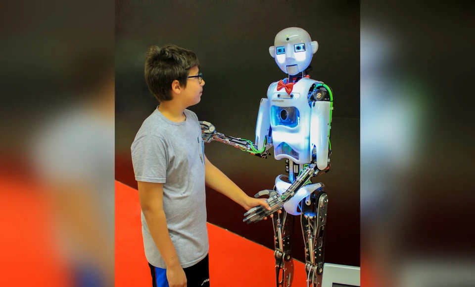 Самарцы смогут познакомиться с необычными и уникальными роботами / Фото: музей "Фестиваль Роботов"