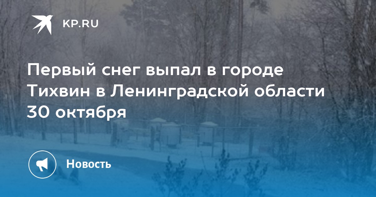 Погода тихвин на 10 дней подробный. Снег в Тихвине фото. Сегодня выпал первый снег. Первый снег в Питере. Снег в Ленинградской области сегодня фото.