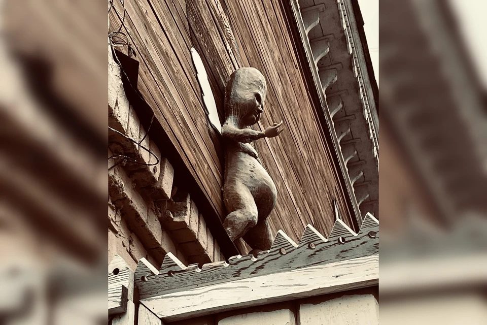 Фигура необычного существа удивила самарцев. Фото: https://vk.com/paikova2017