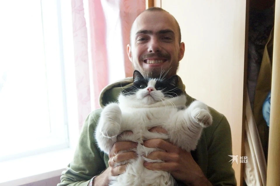 Аллерголог-иммунолог заявил, что гипоаллергенных кошек и собак не существует