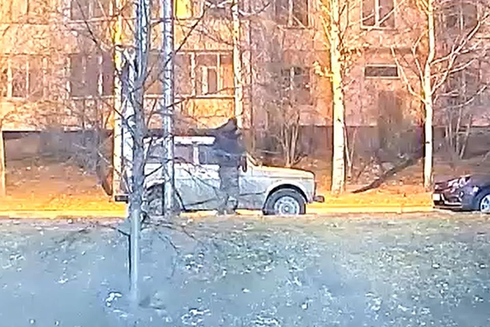 В Новосибирске неизвестный мужчина сливает бензин с чужих авто. Фото: стоп-кадр из видео Анастасии