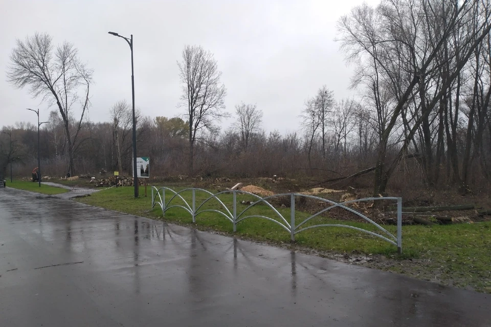 4 ноября появилась фотография, как в рязанском Лесопарке рабочие ведут вырубку деревьев возле главной аллеи.