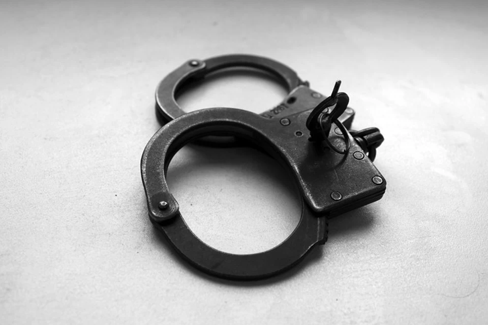 Злоумышленнику помогала бригада лесников, которые не знали о том, что они нарушают закон