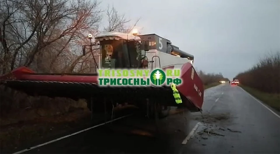 ФОТО: группа в ВК Портал трисосны.рф