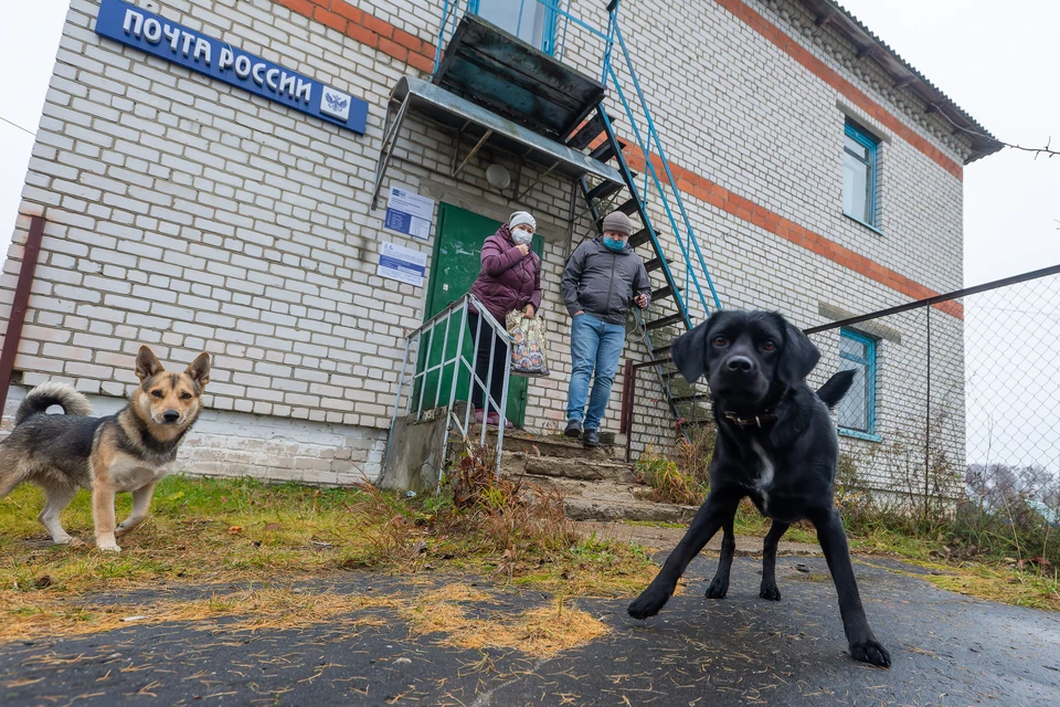 Фото: Михаил Фролов